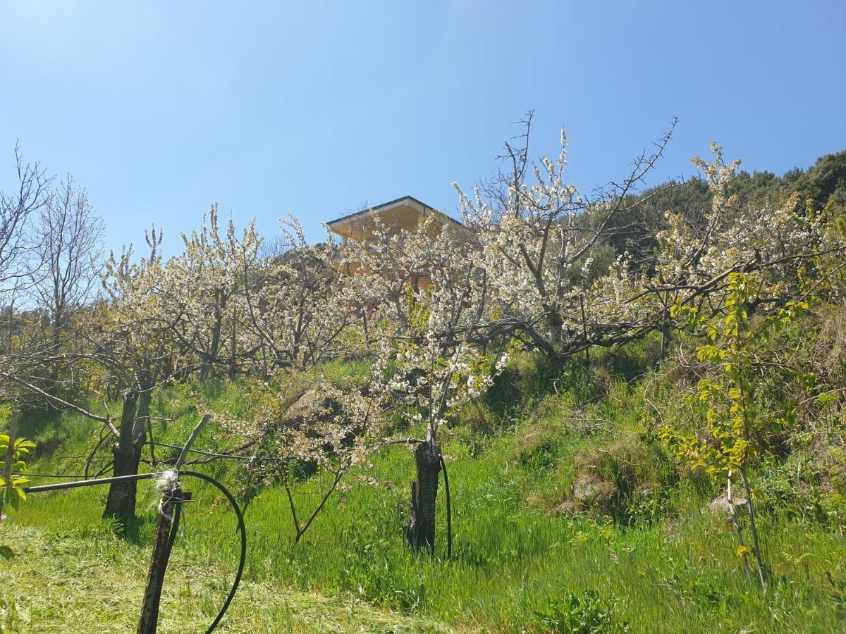 Oasi del benessere Ilbono Eksteriør billede